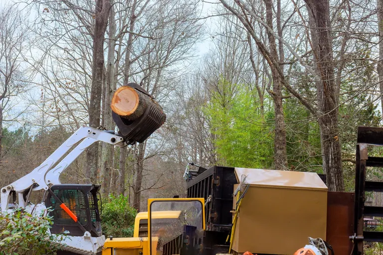 Tree service equipment handling a controlled removal